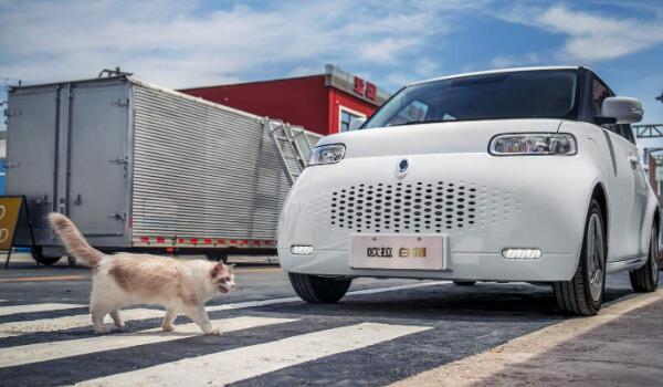 10万以下纯电动汽车排名 比亚迪元EV排名第一欧拉白猫上榜